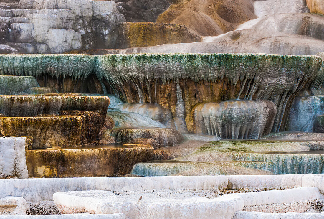 Nahaufnahme der Abflussterrassen am Palette Spring im Herbst, Mammoth Hot Springs; Yellowstone Natural Park, Wyoming, Vereinigte Staaten von Amerika