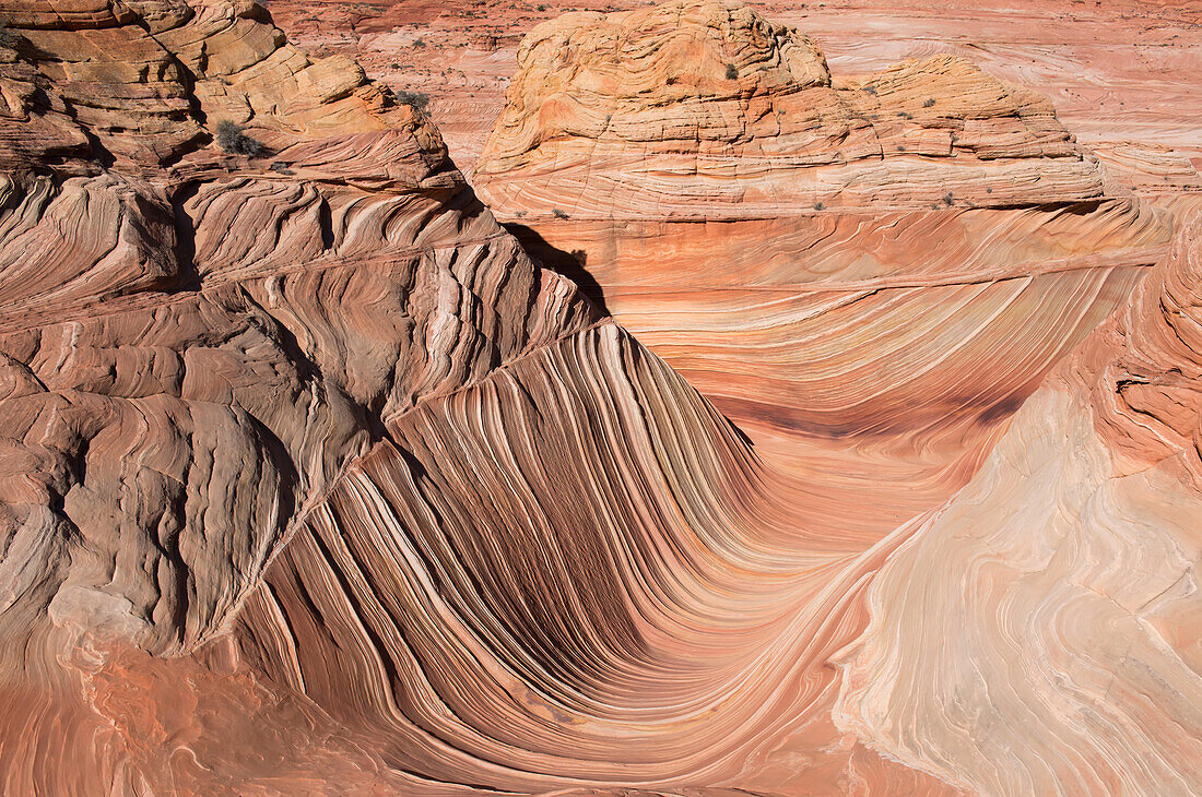 Die Sandsteinfelsformation Wave in Coyote Buttes North, Paria Canyon, Vermillion Cliffs Wilderness.