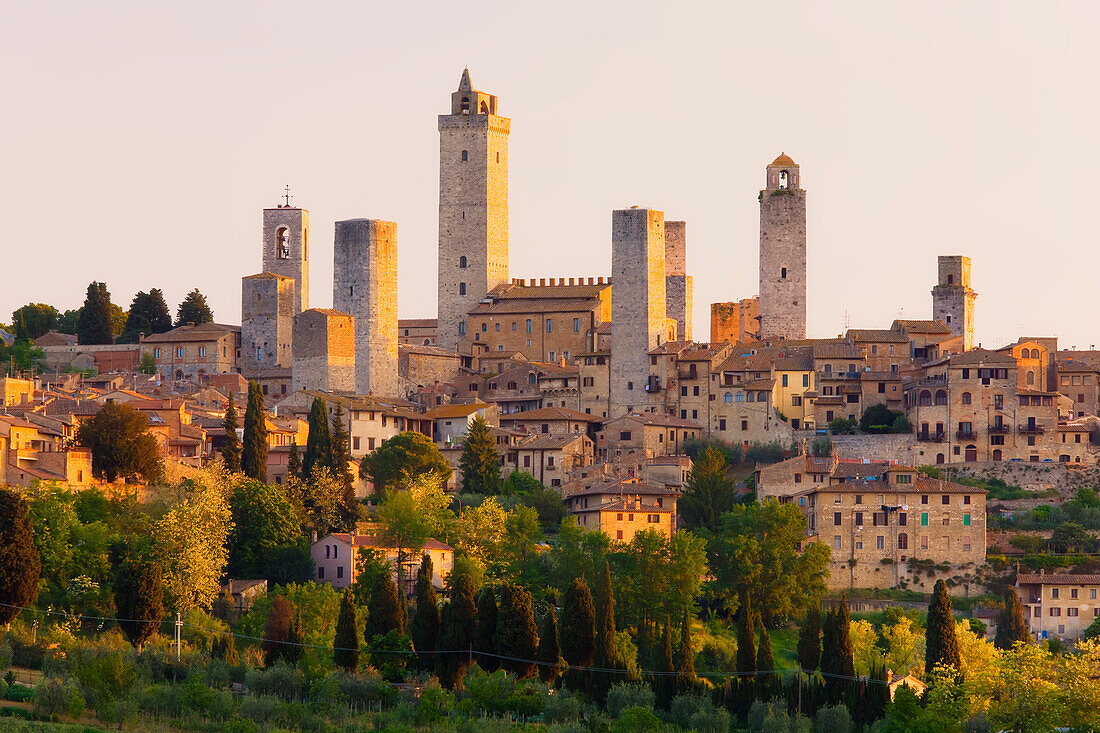 Mittelalterliche Stadt San Gimignano mit ihren vielen Türmen (Torri di San Gimignano), der Torre Grossa ist der höchste, umgeben von der toskanischen Landschaft; San Gimignano, Toskana, Italien