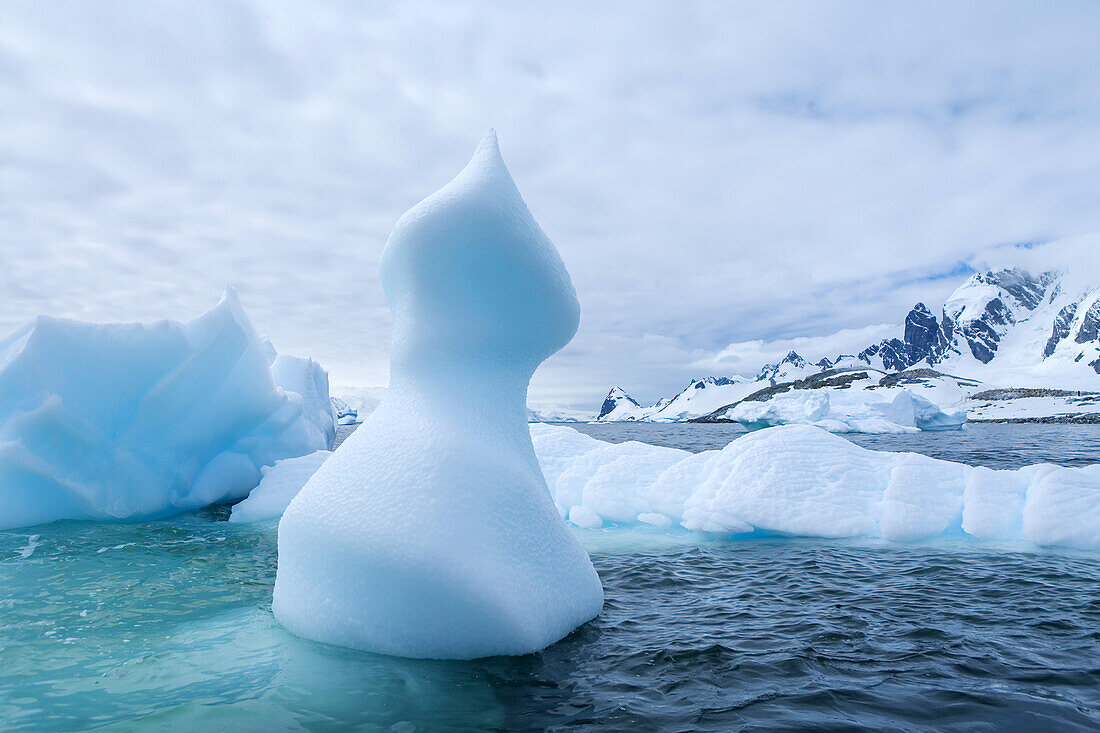 Ice bergs in East Cumberland Bay, near Grytviken, South Georgia