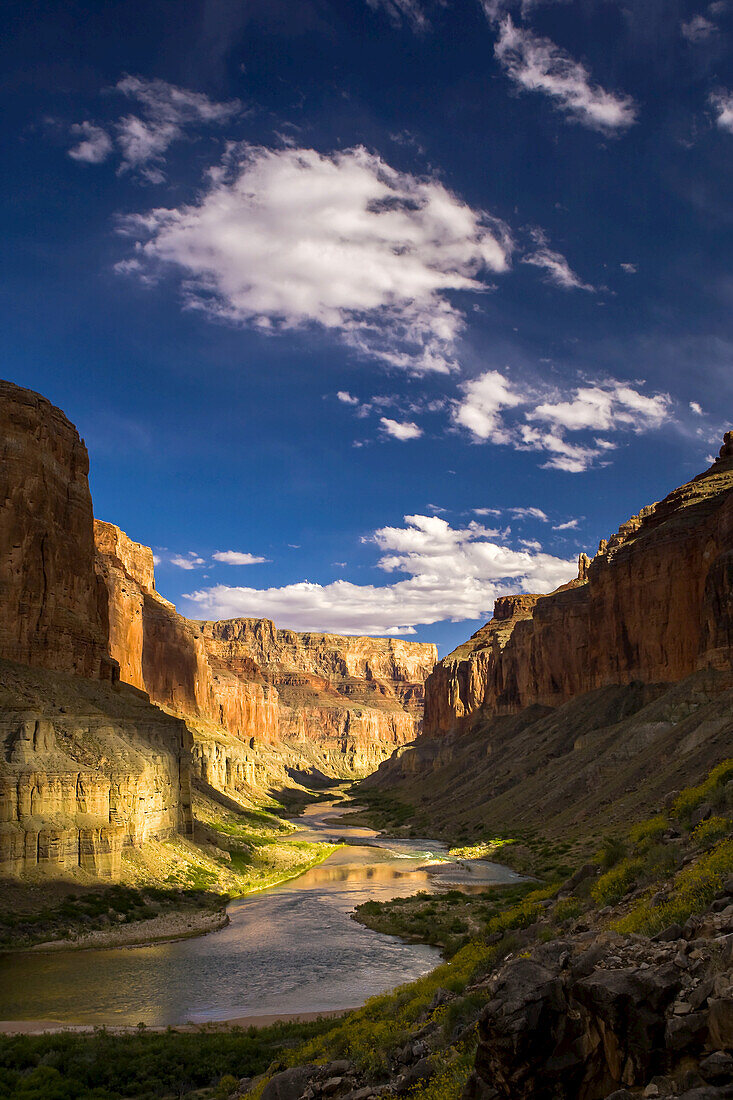 Blick auf den Colorado River, der durch den Nankoweap Canyon fließt.