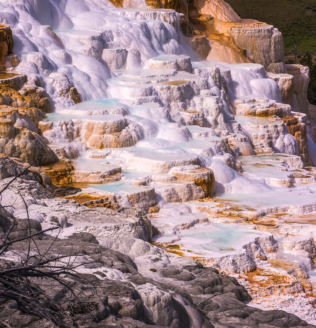 Dramatic travertine terraces and pools of heated water at Canary Spring at the Mammoth Hot Springs in Yellowstone Natural Park; Wyoming, United States of America
