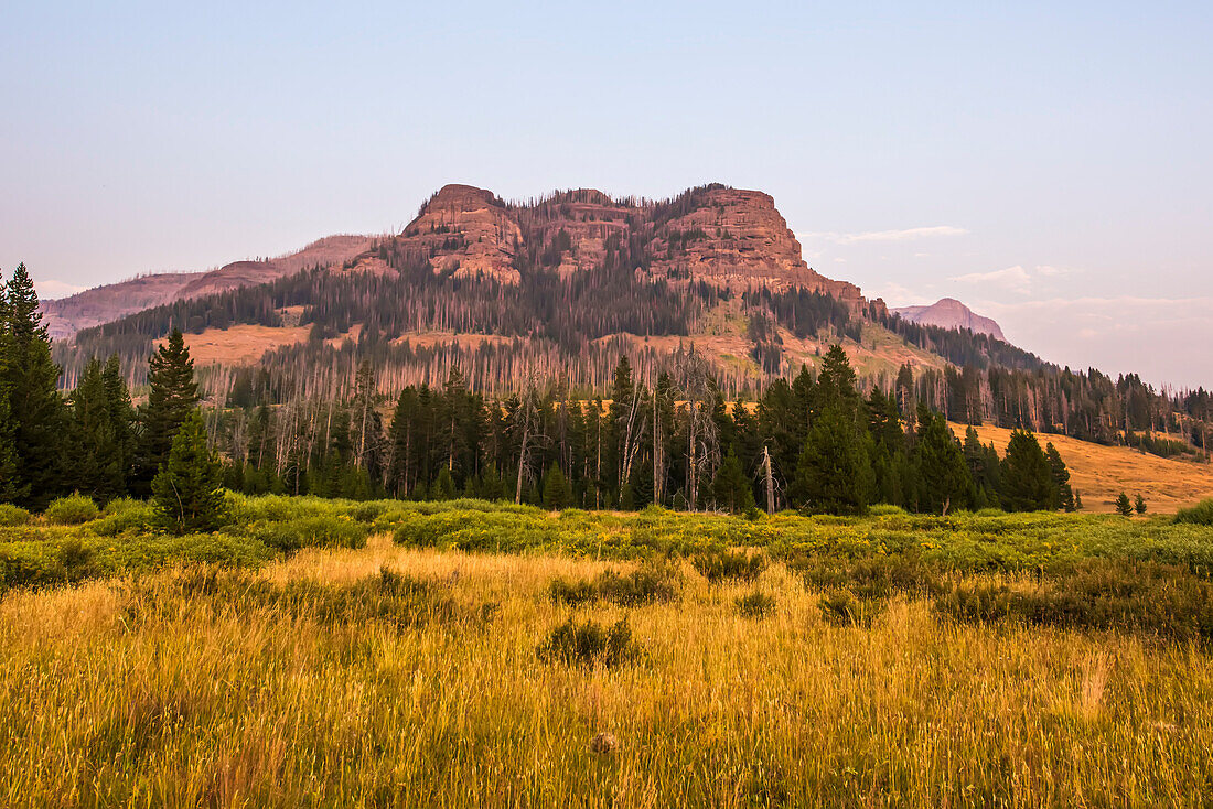 Evening light casting a pink hue on The Trident Ridge under a blue sky with golden grass on the plains in The Thorofare in Upper Yellowstone River Valley, Yellowstone National Park; Wyoming, United States of America