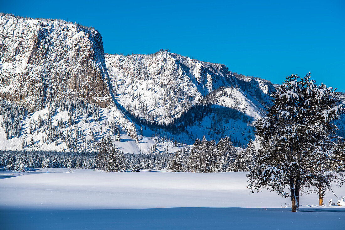 Mountain Haynes vor einem klaren, blauen Himmel entlang des schneebedeckten Madison River im Winter; Yellowstone National Park, Vereinigte Staaten von Amerika