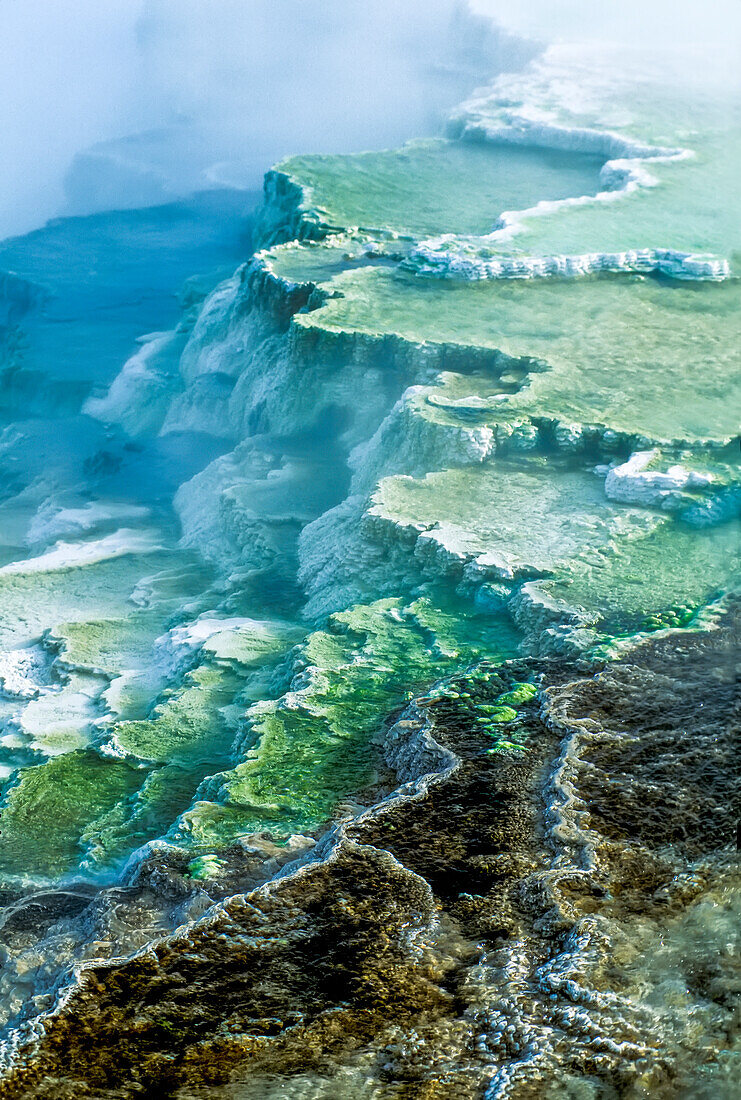 Terrassenförmige Mineralablagerungen und Dampfschwaden bei den Mammoth Hot Springs im Yellowstone Natural Park; Wyoming, Vereinigte Staaten von Amerika
