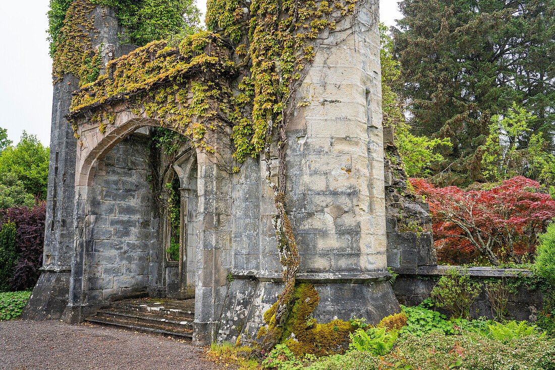 Vegetation covers the castle ruins at Armadale, Scotland, home of Clan Donald; Armadale, Isle of Skye, Scotland