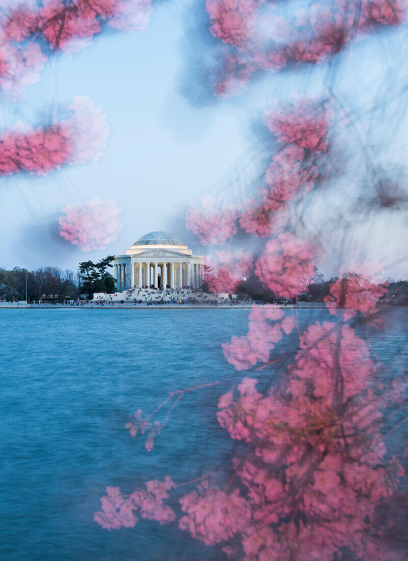 The Thomas Jefferson Memorial is framed by cherry blossoms at sunset.