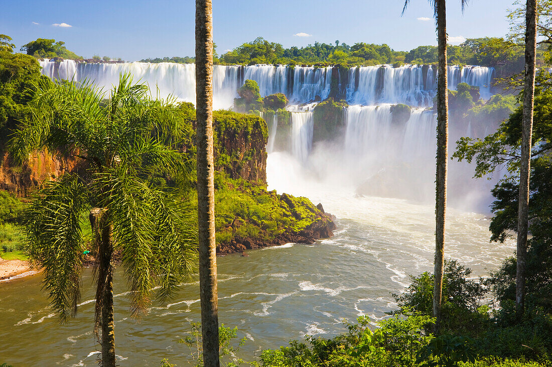 Blick durch Bäume auf die berühmten Iguazu Wasserfälle, Iguazu Falls National Park; Puerto Iguazu, Misiones, Argentinien