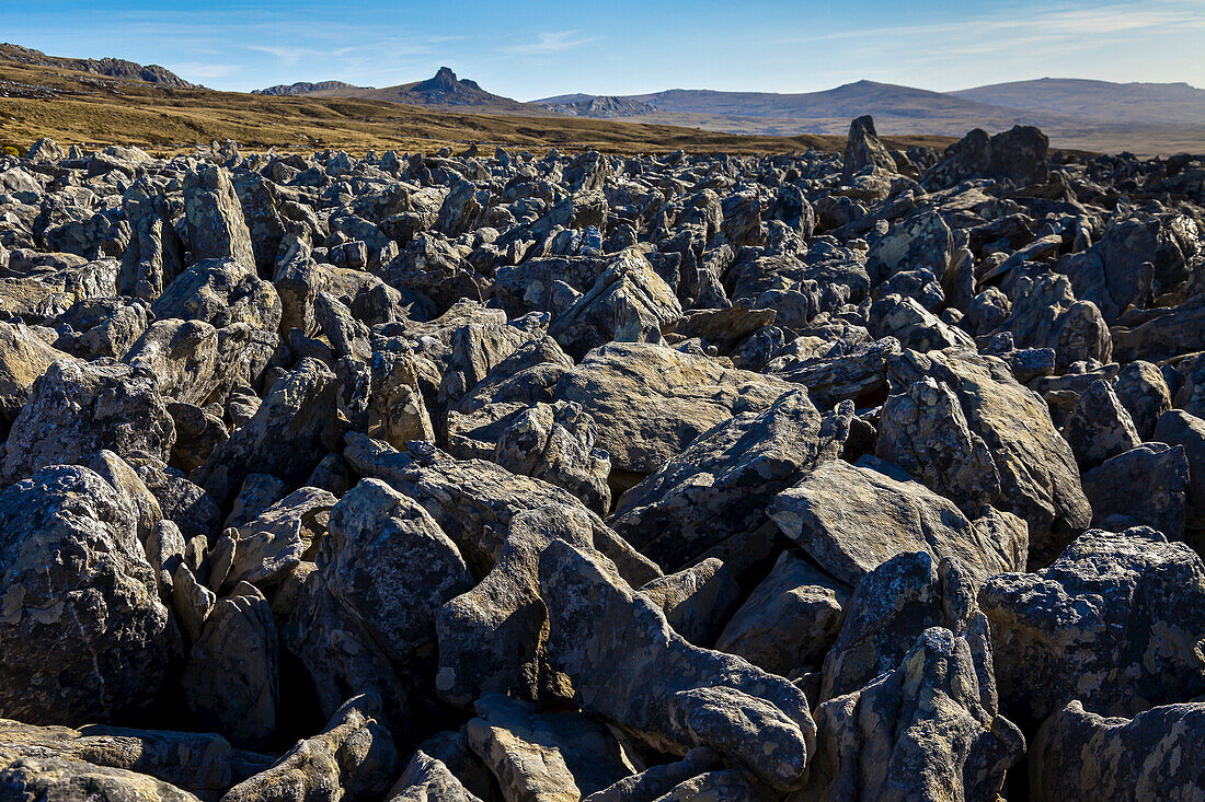 Stone runs, geology, West Point Island, Falklands Islands
