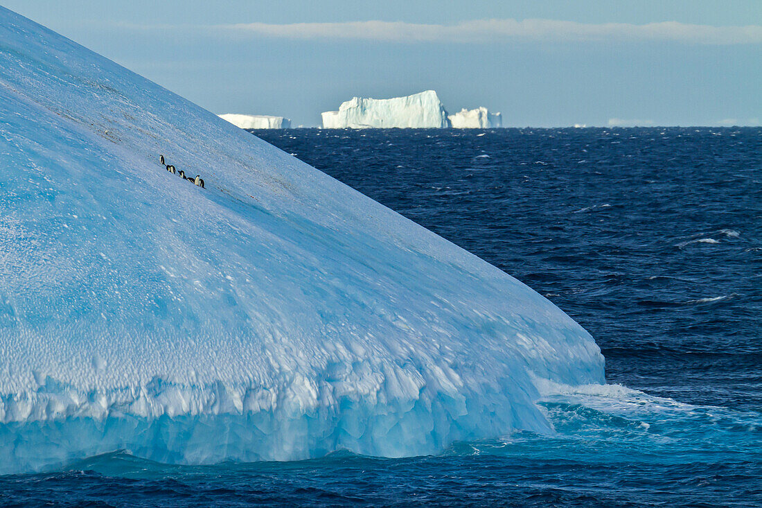 Penguins on the side of a tabular iceberg at the ocean.