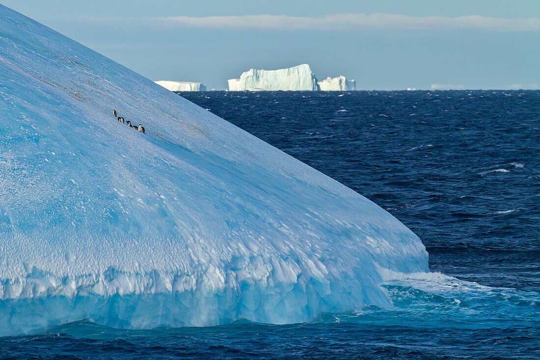Pinguine auf der Seite eines Tafeleisbergs am Meer.