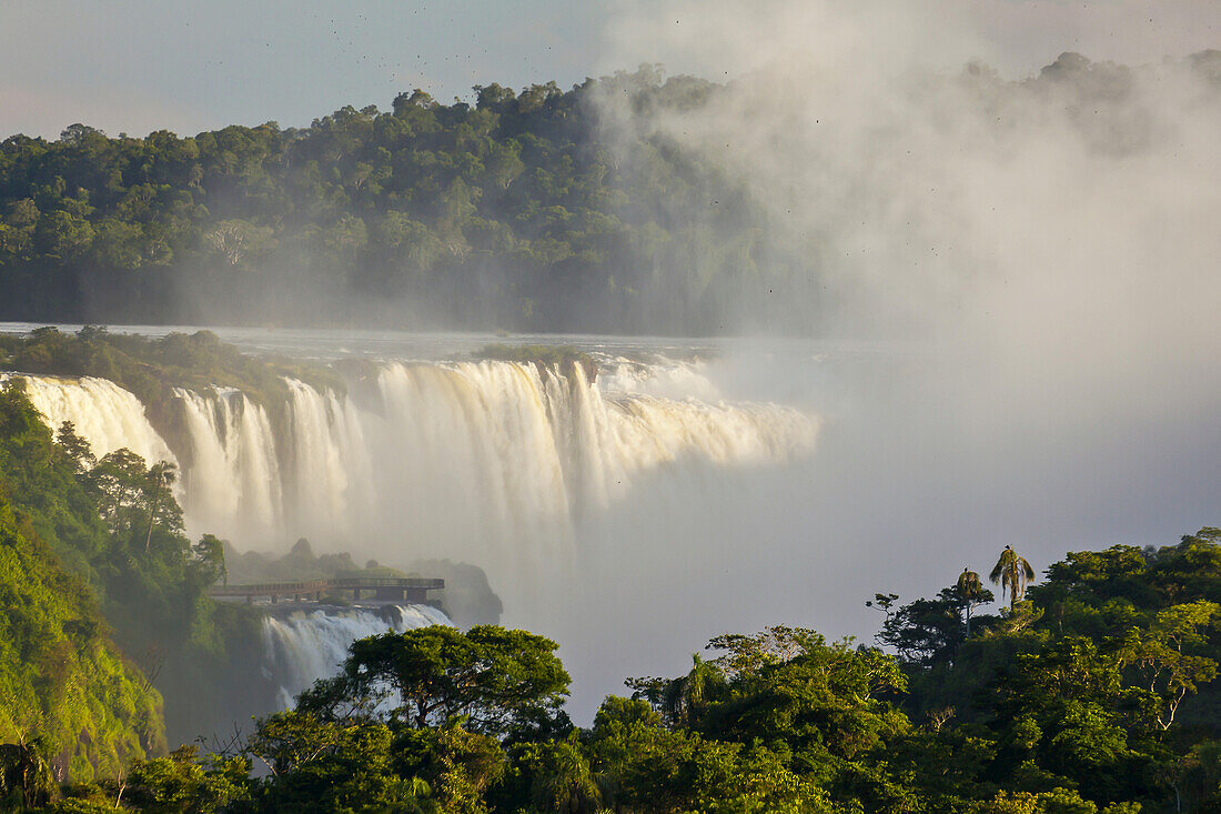 Nebel erhebt sich über dem Wald, der die Iguazu-Fälle umgibt.
