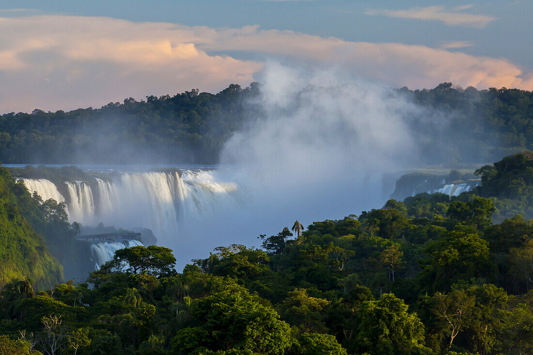 Nebel steigt über dem Wald um die Iguazu-Fälle auf.