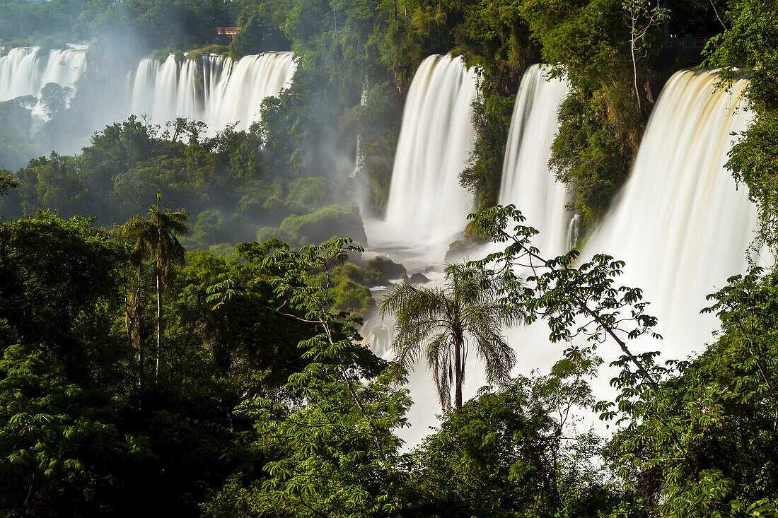 Blick auf die mächtigen Wasserkaskaden der Iguazu-Fälle.