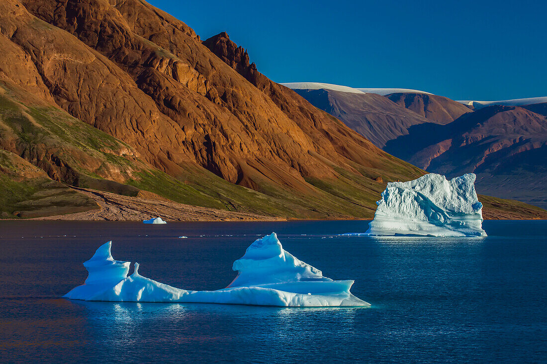 Eisberge treiben vor der Küste des Red Fjord.