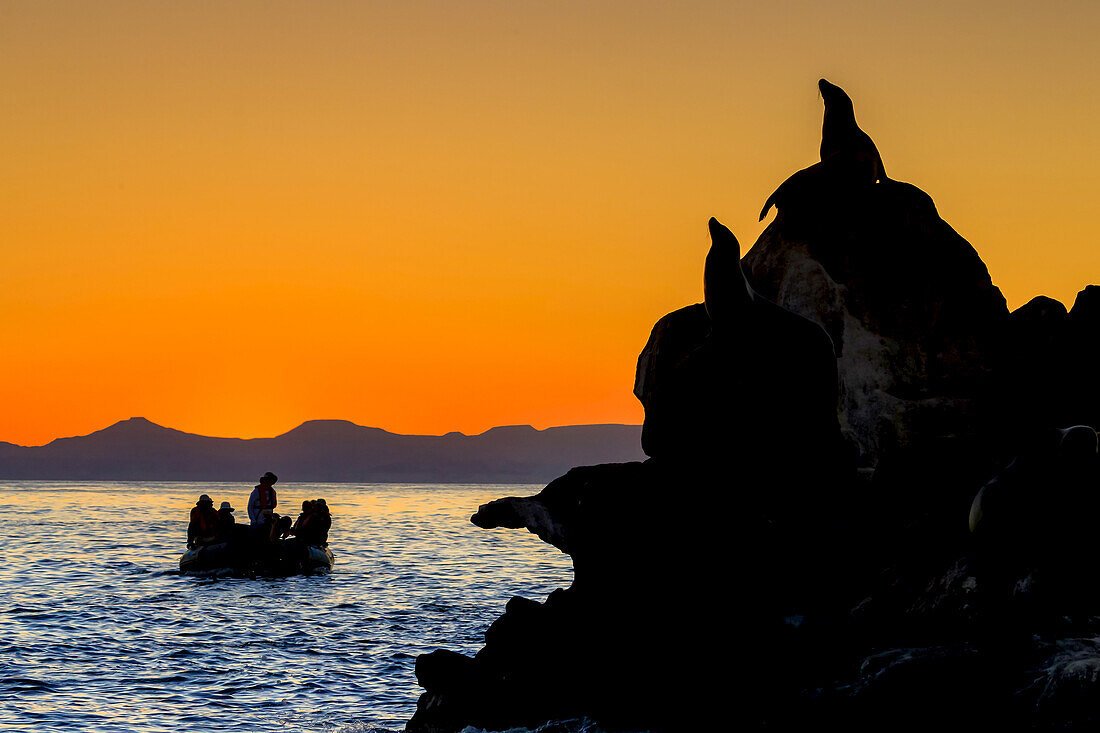 Touristen machen eine Zodiacfahrt bei Sonnenaufgang im Espiritu Santo Archipelago National Park.