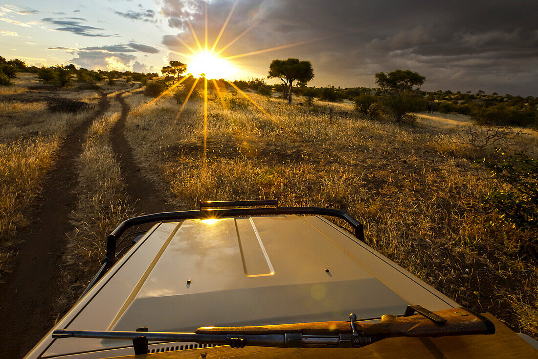 Ein Gewehr auf dem Dach eines Safarifahrzeugs, das in die helle Sonne fährt.