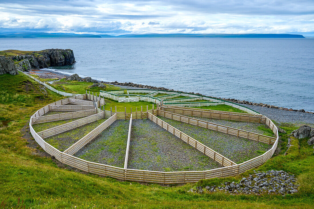 Kreisförmiges Schafgatter entlang der Küste des Nordatlantiks auf der Halbinsel Vatnsnes in der nördlichen Region Islands; Vatnsnes Halbinsel, Nordurland Vestra, Island