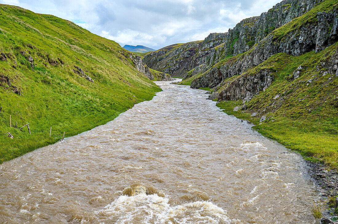 Close-up of river flowing into the sea at Vatnsnes Peninsula in the Northern Region of Iceland; Vatnsnes Peninsula, Nordurland Vestra, Iceland