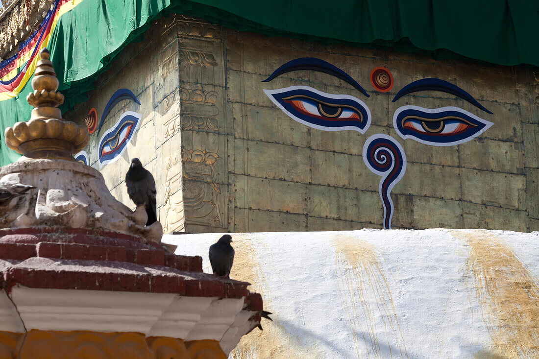 Tauben in der Nähe der auf die Boudhanath Stupa gemalten Augen des Buddha.