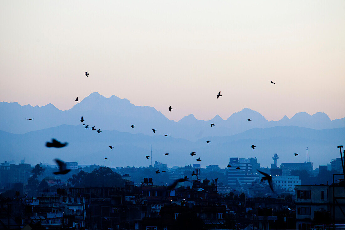 Birds take flight at sunrise with the Himal Ganesh as a backdrop.