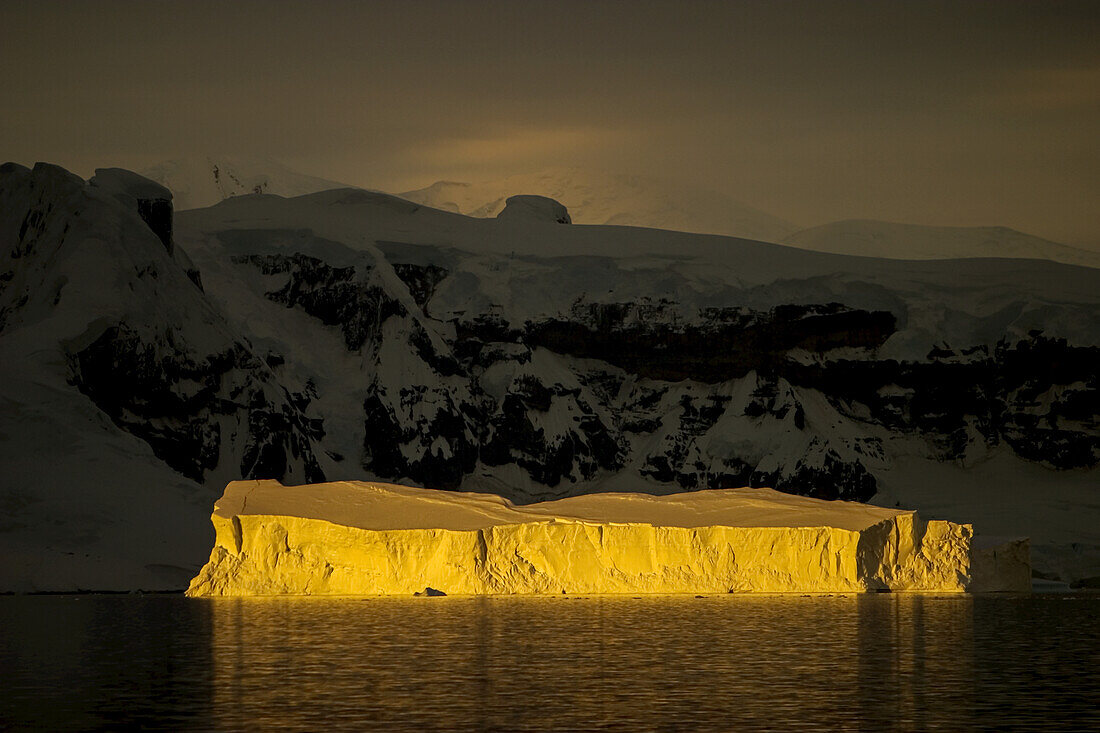 Goldenes Licht, felsige Küste und Eisberg in der Gerlache Meerenge in der Dämmerung.