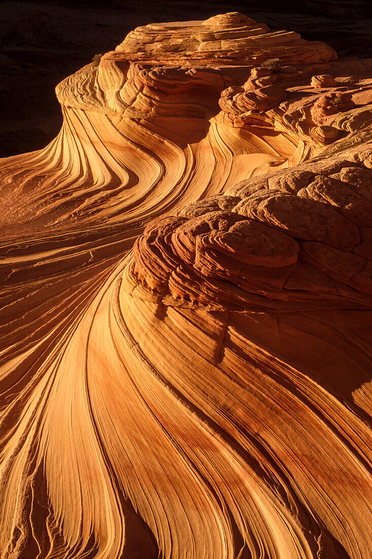 Navajo sandstone formation known as The Wave, at Coyote Buttes.