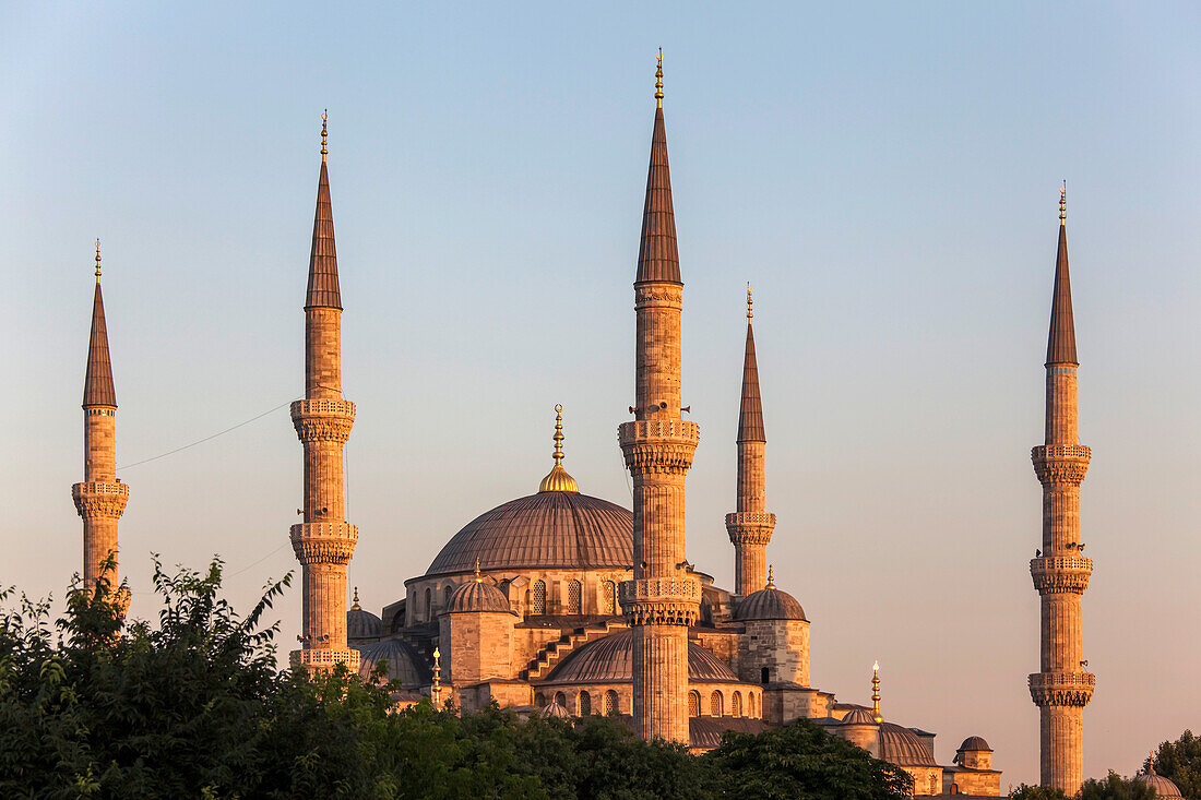 The Blue Mosque in evening sunlight, Istanbul, Turkey.; Istanbul, Turkey.