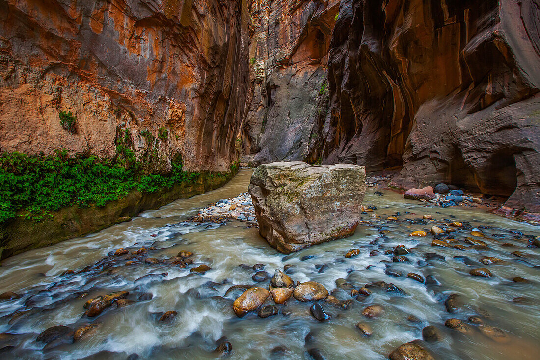 The Virgin River at the entrance to The Narrows in Zion National Park.