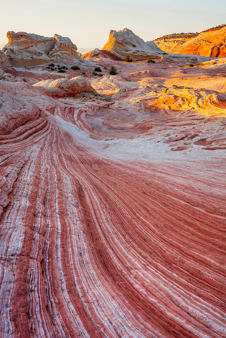Sandstone formations in White Pocket.