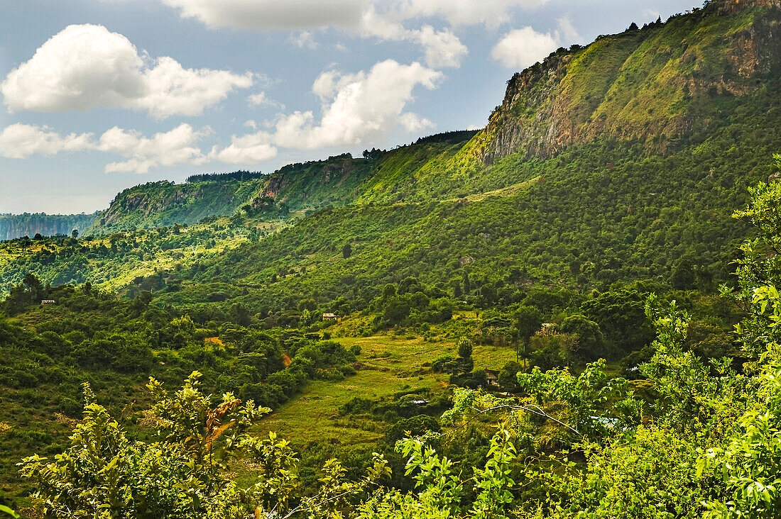 Ein waldbedeckter Gebirgszug und Steilhang im Westen Kenias; Der Elgeyo Steilhang, entlang des westlichen Randes des Kerio Valley, in der Nähe von Kabarnet, Westkenia.