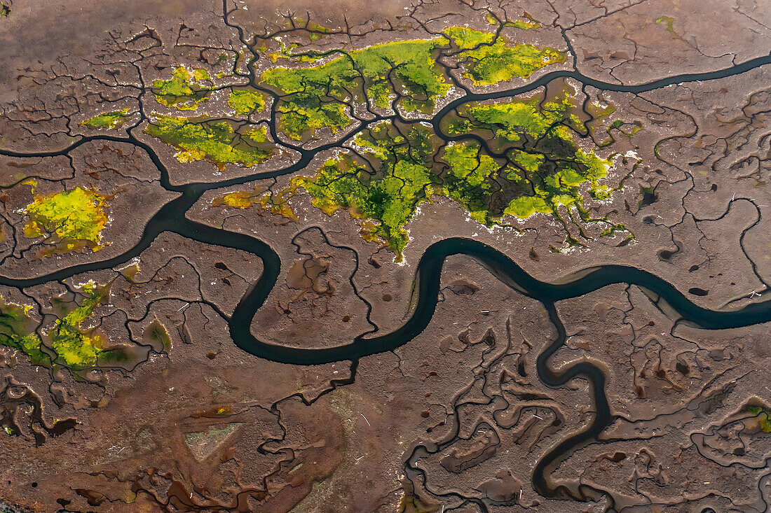 Luftaufnahme von gewundenen Flüssen und Feuchtgebieten an der kalifornischen Küste; Carpinteria, Kalifornien, Vereinigte Staaten von Amerika
