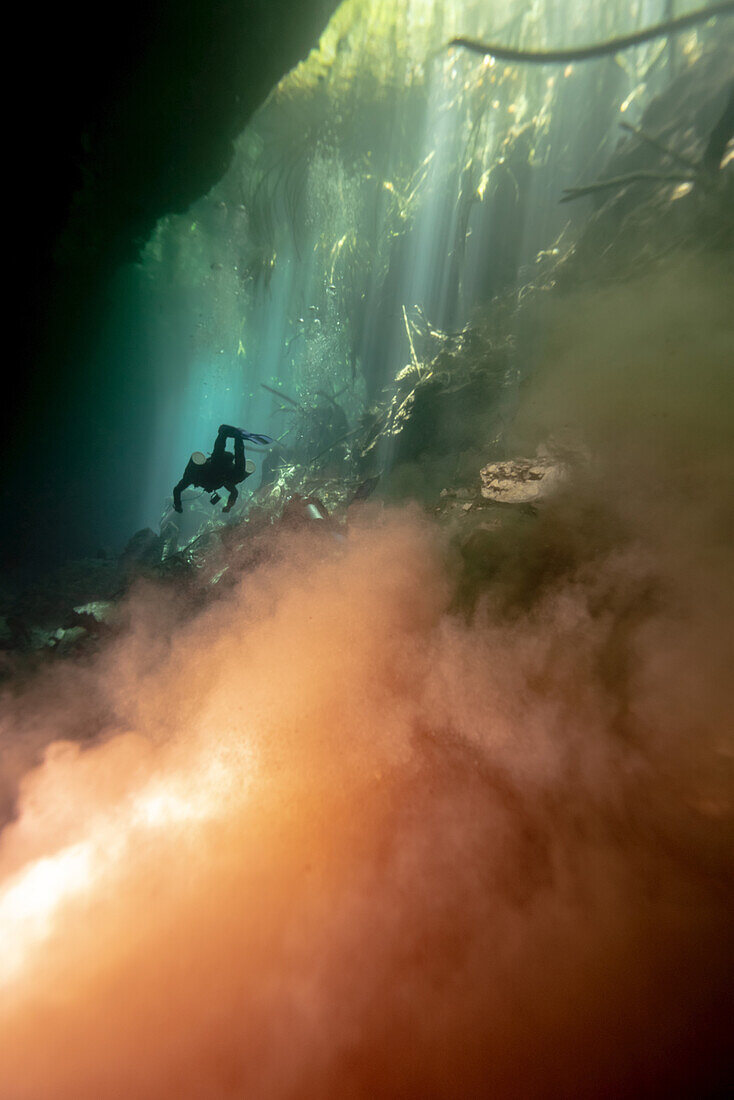 Silhouette eines Höhlentauchers bei der Erkundung einer Kalksteinpassage mit einer Wolke aus orangefarbenem Staub und grünen Wasserpflanzen; Tulum, Quintana Roo, Mexiko