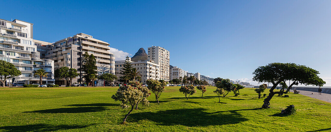 Gebäude und Parklandschaft entlang der Sea Point Promenade in Kapstadt; Sea Point, Kapstadt, Südafrika