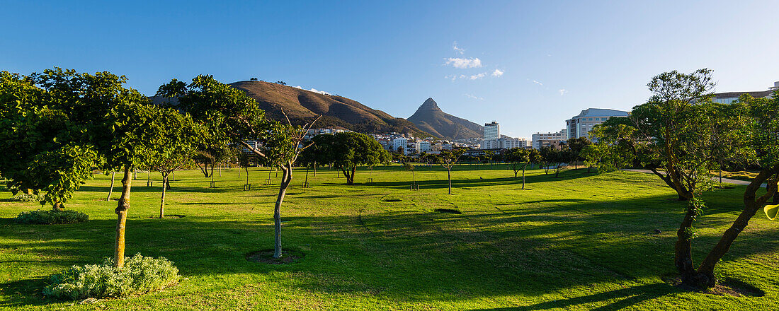 Green Point Park in Kapstadt mit Lion's Head Spitze in der Ferne; Green Point, Kapstadt, Südafrika