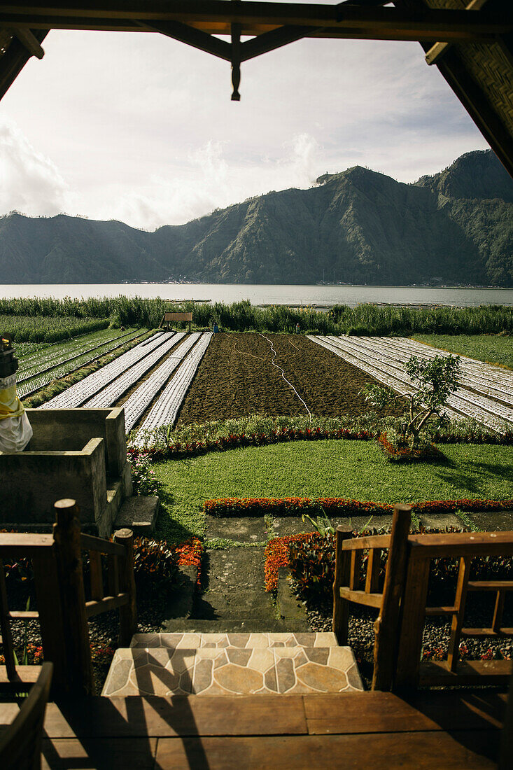 Blick von Veranda mit Steinstufen auf neu angelegte Reisfelder vor einem See und Mount Batur (Vulkan Kintamani) im Hintergrund in South Batur; Kintamani, Bangli Regency, Bali, Indonesien