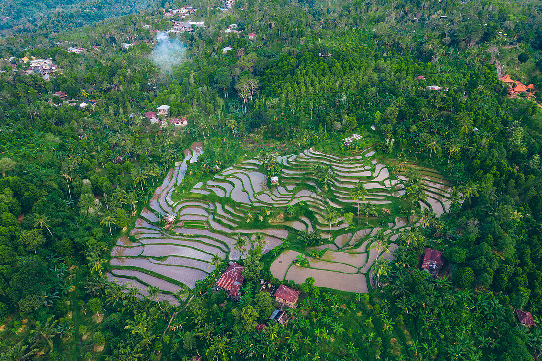 Aerial overview of hillside village of Sambangan with rice fields in Sukasada District; Buleleng, Bali, Indonesia