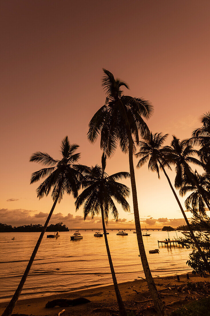 Boats moored in the harbor in Samana Bay along the shore of Samana with silhouetted palm trees reaching into the orange sky at sunset; Samana Peninsula, Dominican Republic, Caribbean