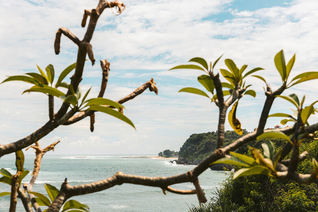 Blick durch einen tropischen Baumzweig mit Blättern an der Meeresküste entlang des Geger Beach in der Nusa Dua Resort Region; Geger Beach, Badung, Bali, Indonesien