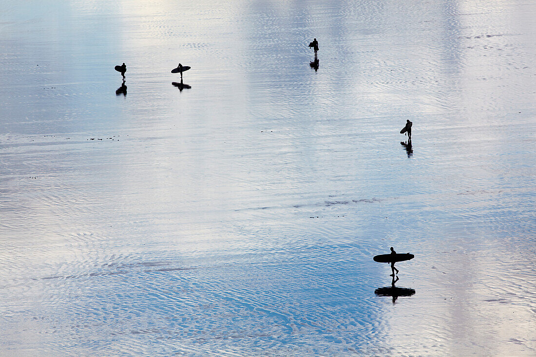 Surfers in silhouette, returning from the surf.; Saunton Sands, Barnstaple, Devon, England, Great Britain, United Kingdom.