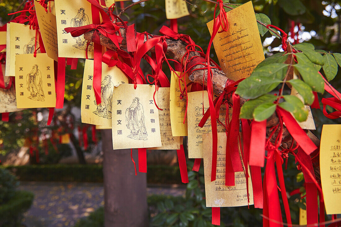 Good luck wishes tied to a tree in the Confucian Temple, Shanghai, China.; Nanshi, Old Town, Shanghai, China.