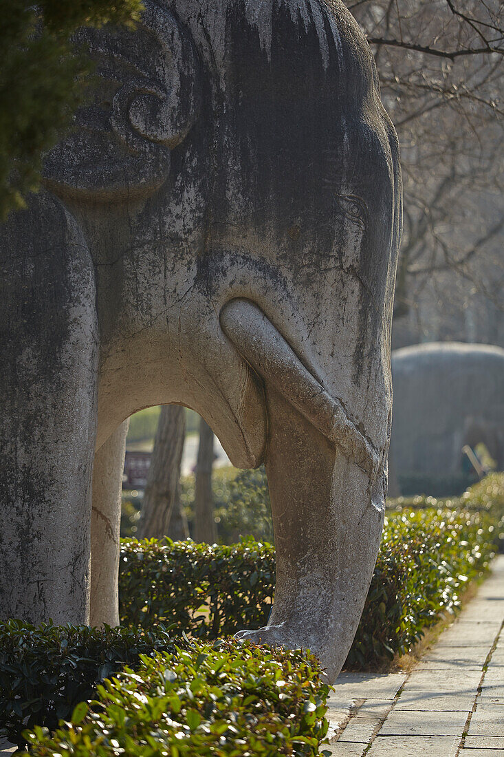 Eine Elefantenskulptur in einer Allee von Tierskulpturen in Mingxiaoling, dem Grabmal von Hongwu, dem ersten Kaiser der Ming-Dynastie, Nanjing, Provinz Jiangsu, China; Mingxiaoling, Purpurberg, Zijin Shan, Nanjing, Provinz Jiangsu, China.
