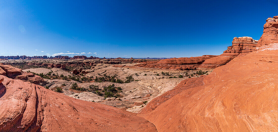 Vast landscape of sandstone rock in the Needles District of Canyonlands National Park, with a view to Devil's Kitchen; United States of America