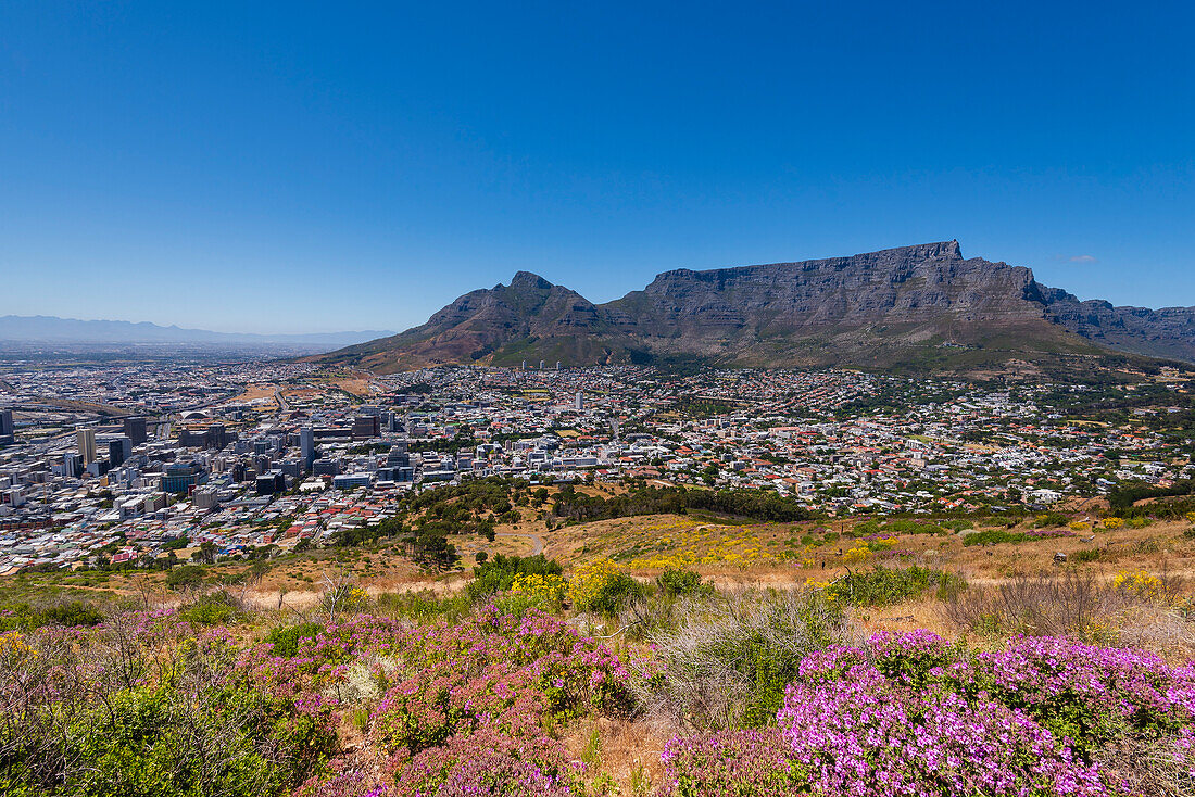 Overview of Cape Town city skyline and Table Mountain from Signal Hill; Cape Town, Western Cape Province, South Africa