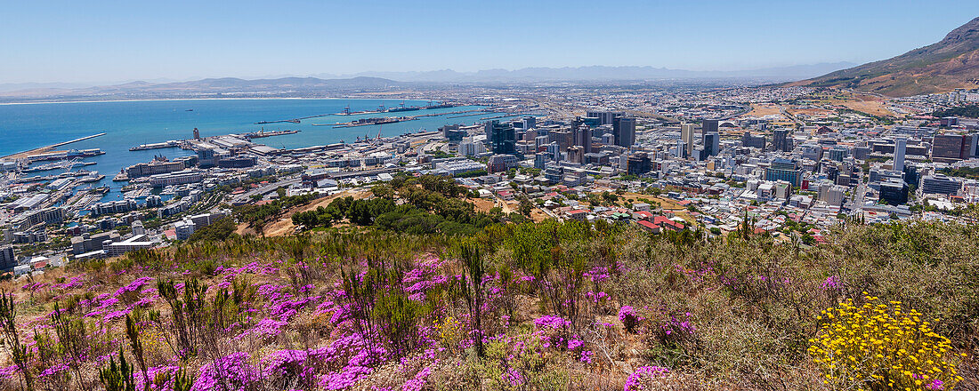Overview of the Cape Town Harbor and port with view of the city's waterfront and skyline from Signal Hill; Cape Town, Western Cape Province, South Africa