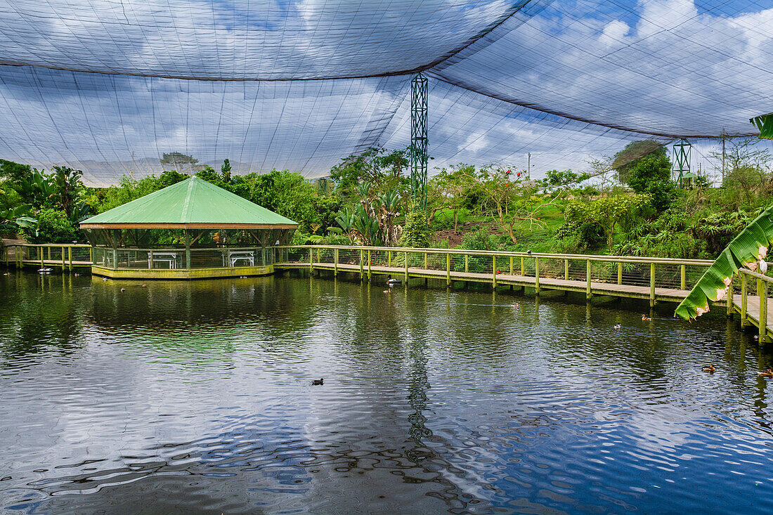 Südafrika Monkeyland Primate Sanctuary und Birds of Eden bei Plettenberg Bay; Westkap, Südafrika