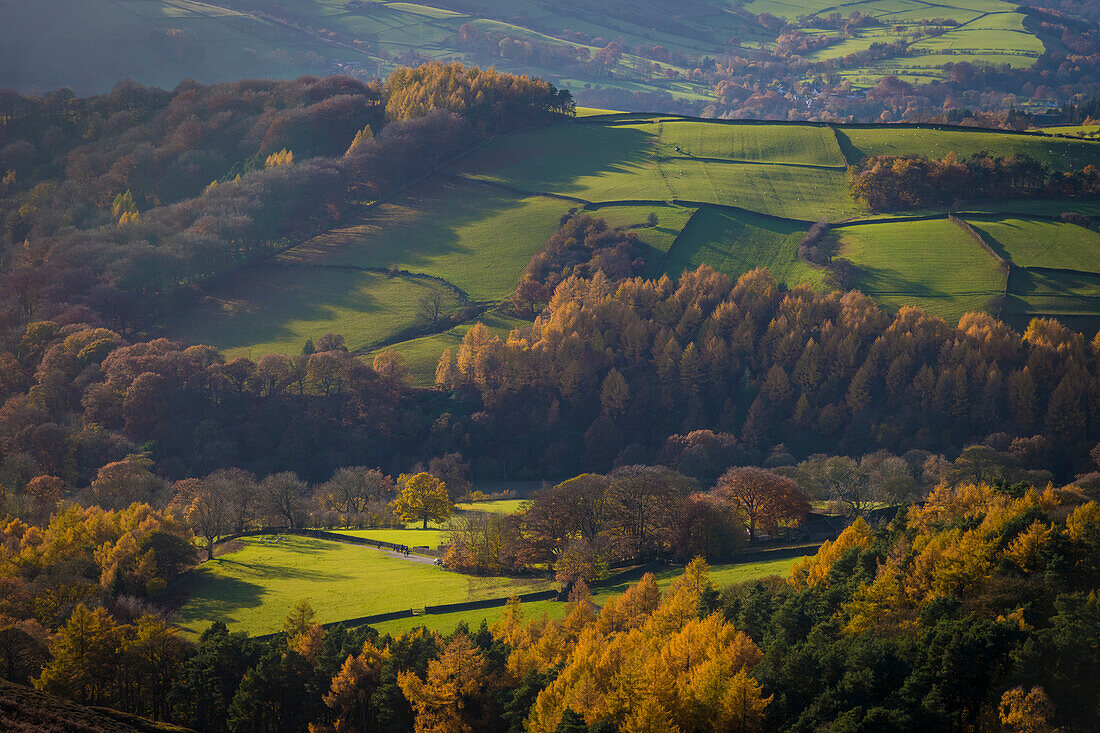 Felder und Wälder im Herbst bei Stanage Edge, Peak District; Derbyshire, England, Vereinigtes Königreich