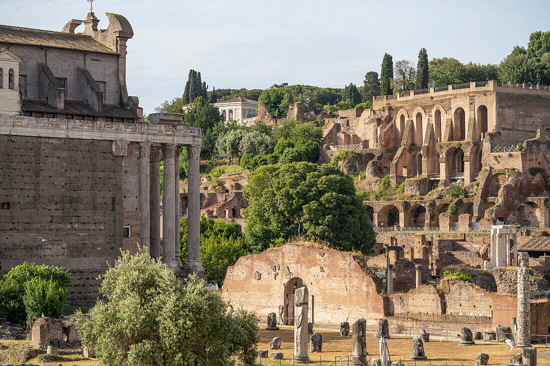 Foro Romano (Forum Romanum) Ruinen des antiken Roms mit San Lorenzo in Miranda auf der linken Seite; Rom, Italien