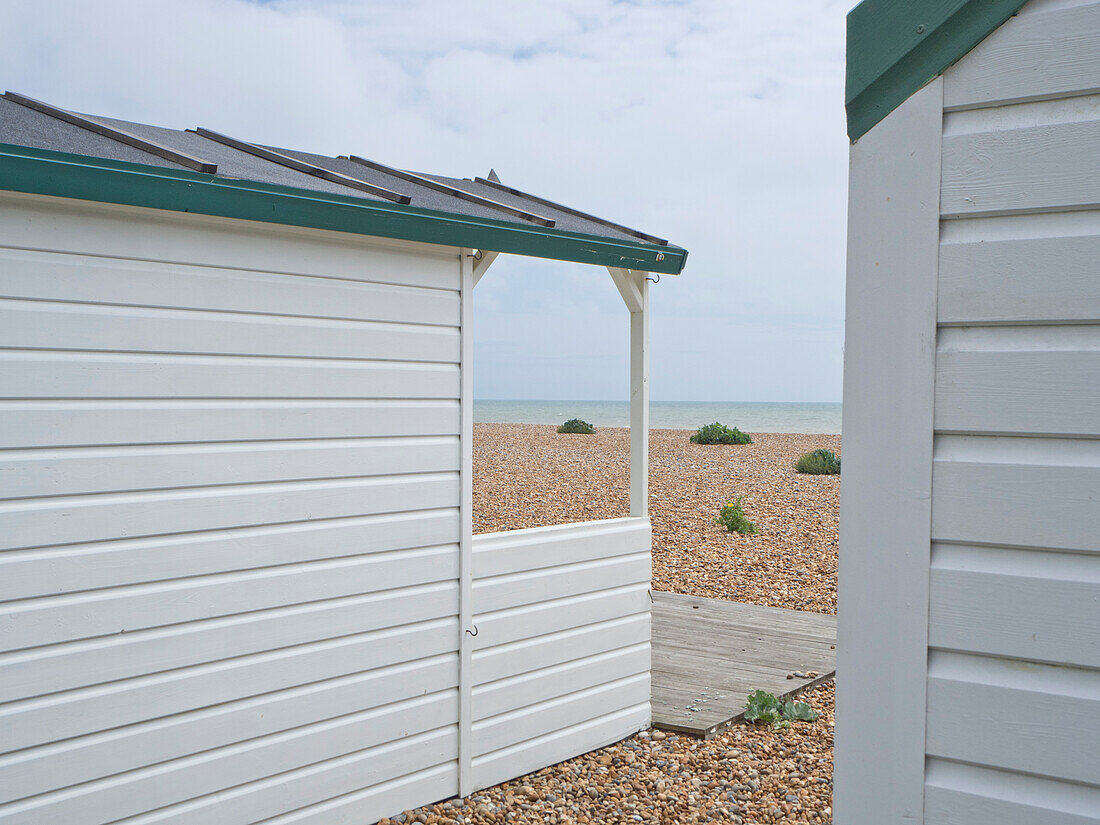 Weiße, hölzerne Strandhütten am Ufer des Kieselstrandes mit grünen niedrigen Sträuchern; Hastings, East Sussex, England, Vereinigtes Königreich