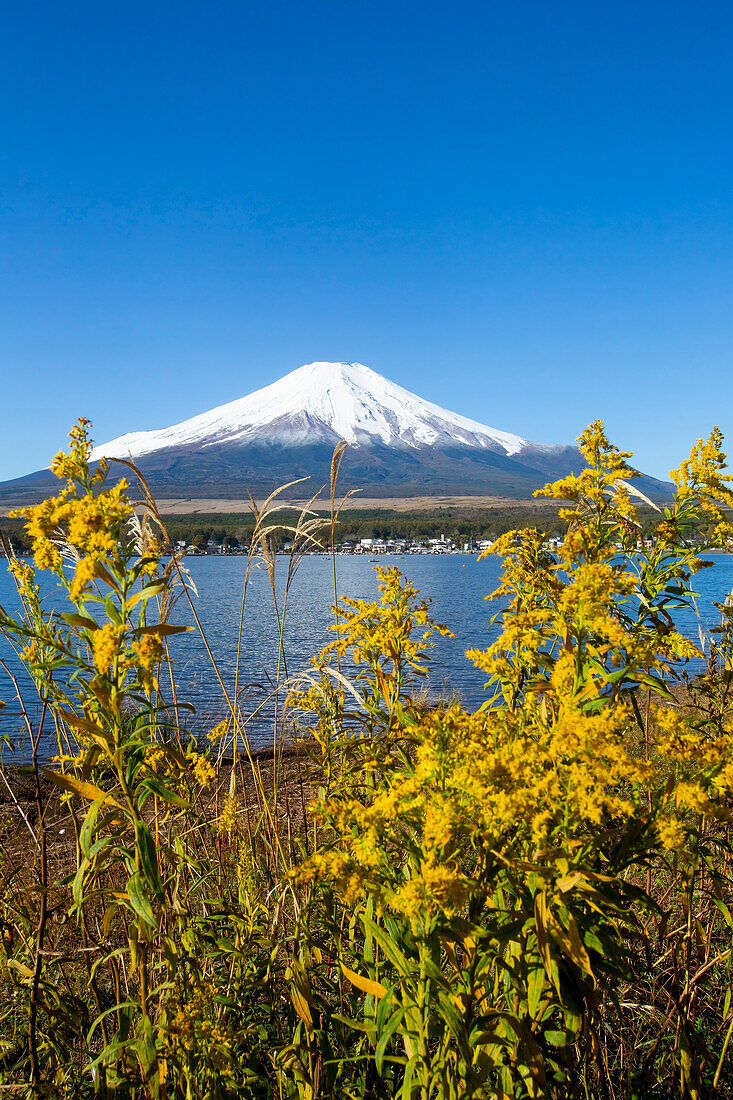 Mount Fuji, as viewed from Lake Yamanakako (Lake Yamanaka), which is the largest of the Fuji Five Lakes and has the third-highest elevation of any lake in Japan. It is also the closest of the five to Mount Fuji; Yamanakako, Yamanashi Prefecture, Japan